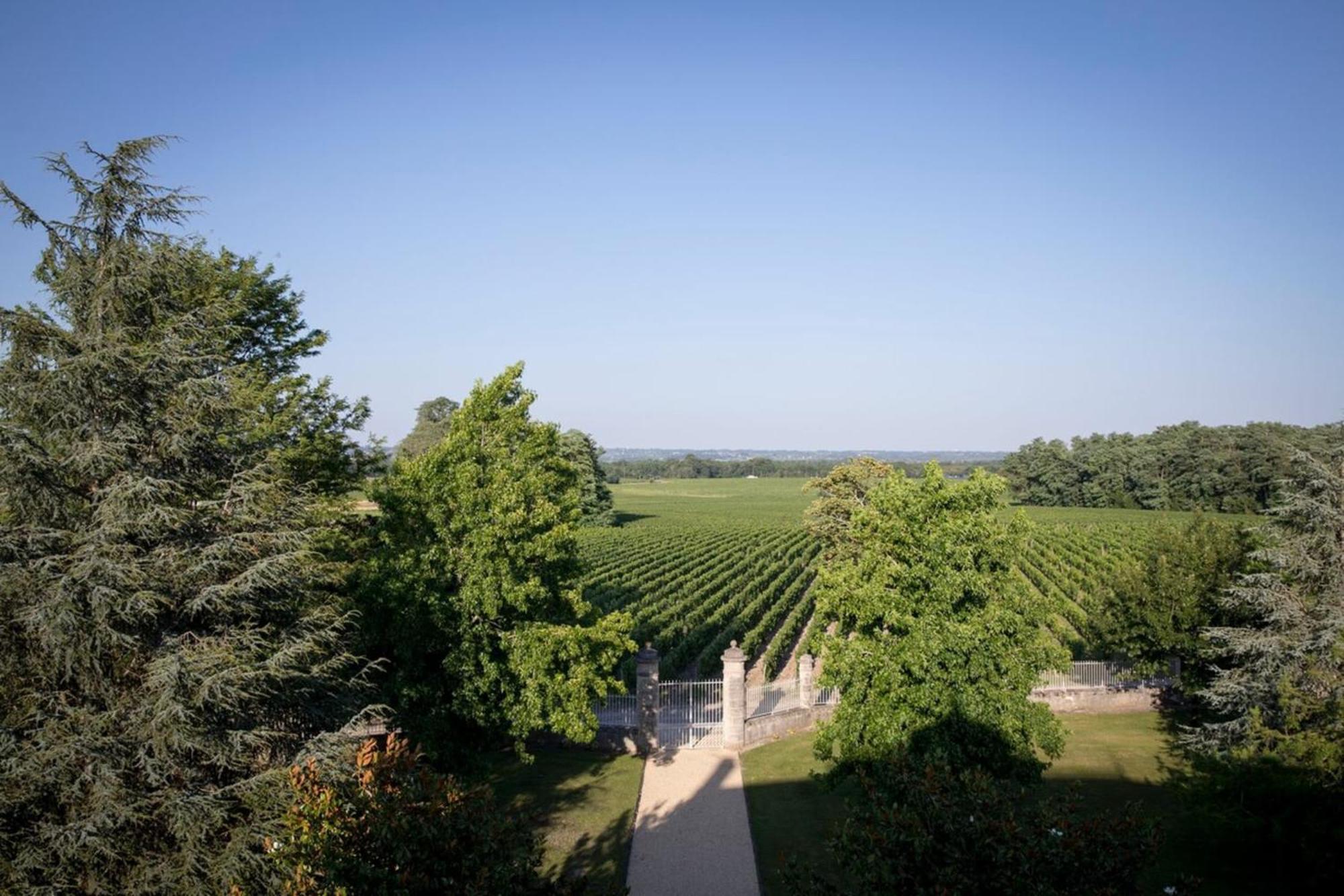 Chateau Malescasse Lamarque Экстерьер фото