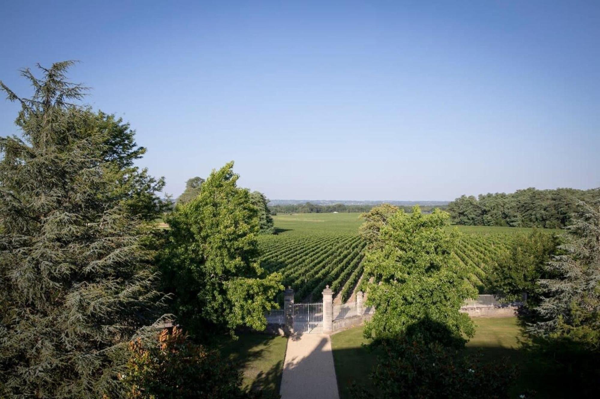Chateau Malescasse Lamarque Экстерьер фото