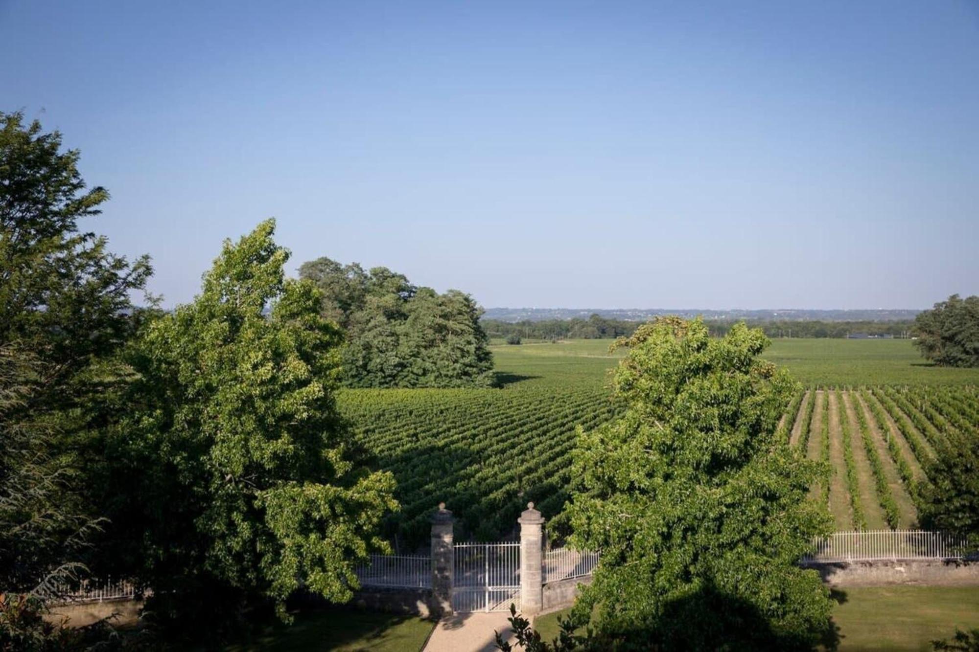 Chateau Malescasse Lamarque Экстерьер фото